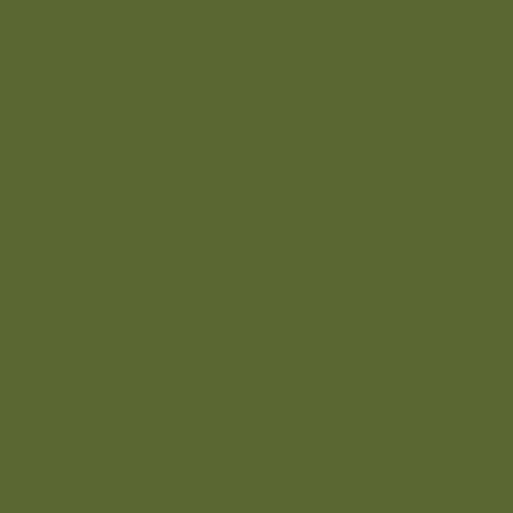 5164221569-swatch.jpg