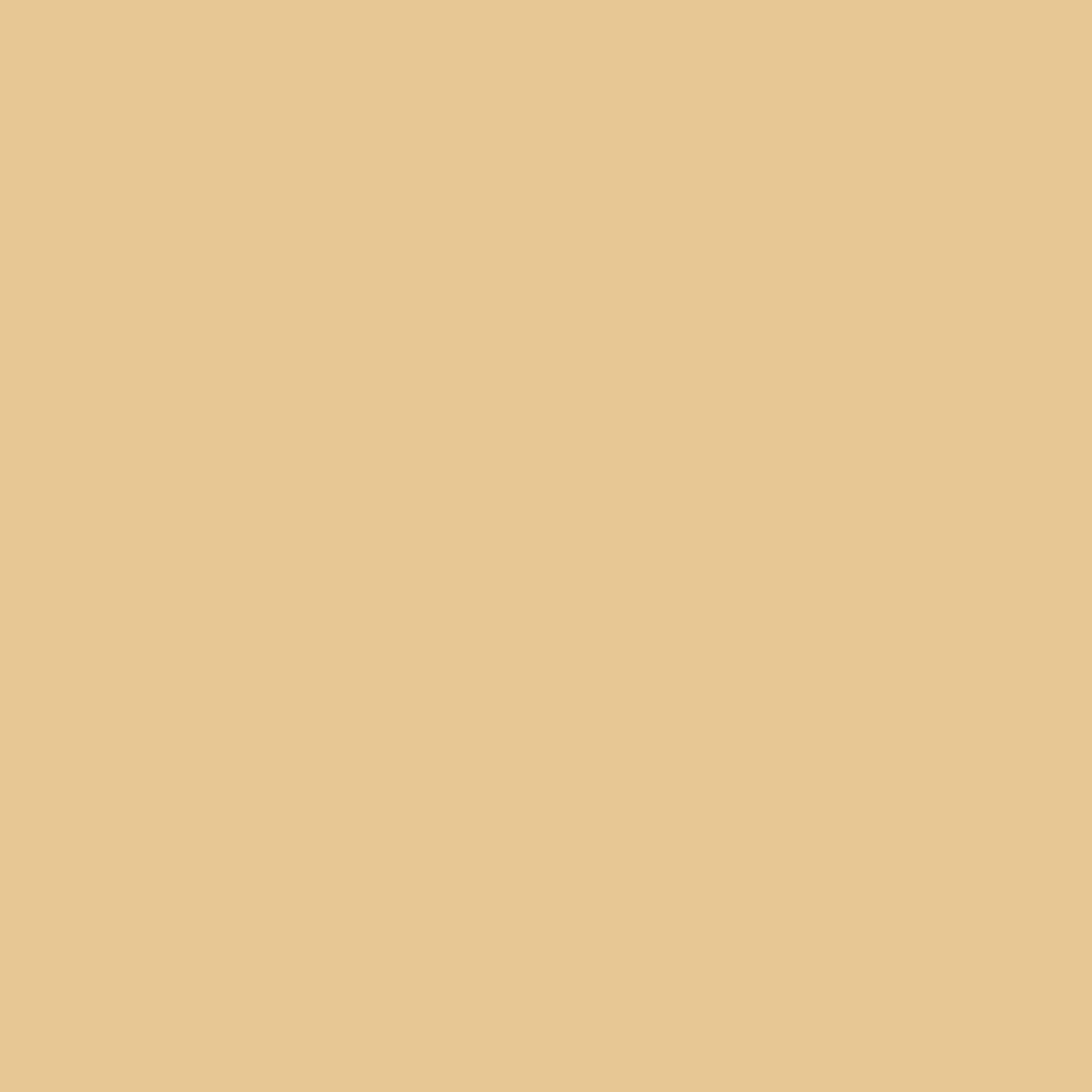 5222221479-swatch.jpg